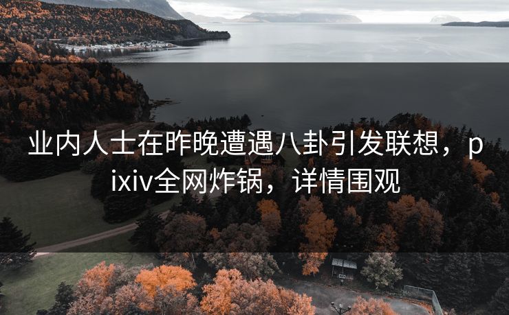 业内人士在昨晚遭遇八卦引发联想，pixiv全网炸锅，详情围观