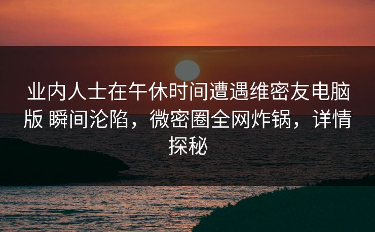 业内人士在午休时间遭遇维密友电脑版 瞬间沦陷，微密圈全网炸锅，详情探秘
