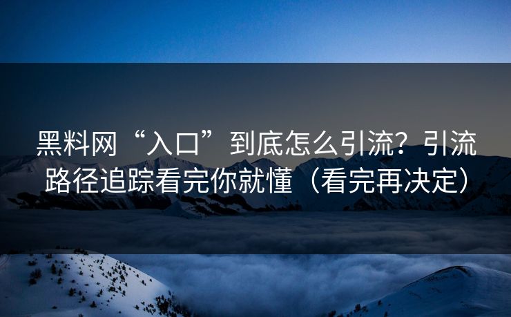 黑料网“入口”到底怎么引流？引流路径追踪看完你就懂（看完再决定）