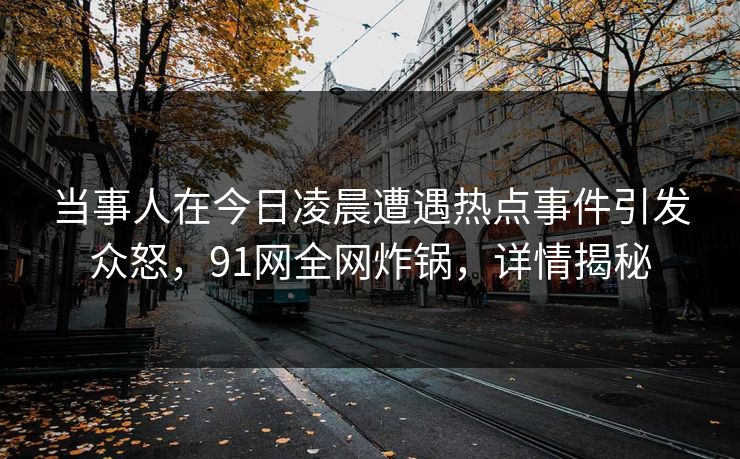 当事人在今日凌晨遭遇热点事件引发众怒，91网全网炸锅，详情揭秘