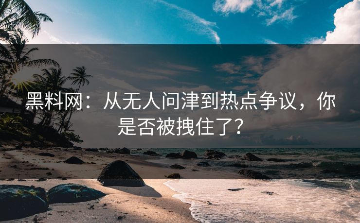 黑料网：从无人问津到热点争议，你是否被拽住了？